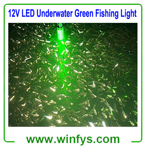 IP68 12V LED Underwater Green Fishing Light Stick Submersible Fishing Light